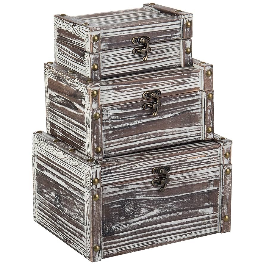 DWE Treasurn Chest新品 DWE Treasurn Chest新品 DWE Treasurn Chest新品 Amazon.co.jp